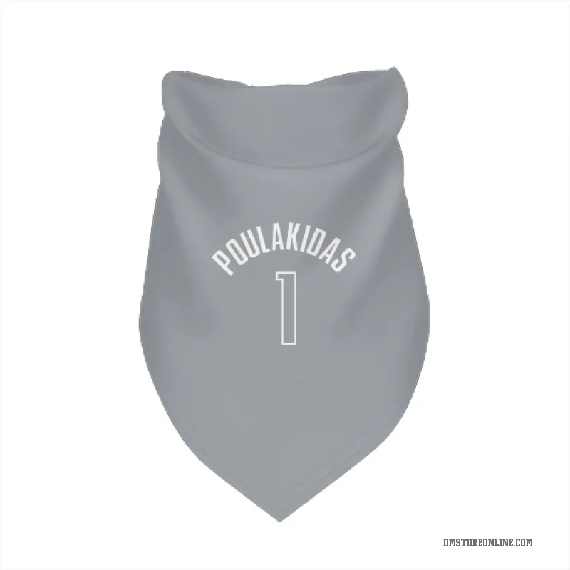 John Poulakidas  Blue Dallas Mavericks  Cat & Dog Pet Bandana